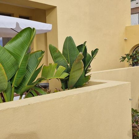 Casa Da Acoteia Apartment ฟารู ภายนอก รูปภาพ