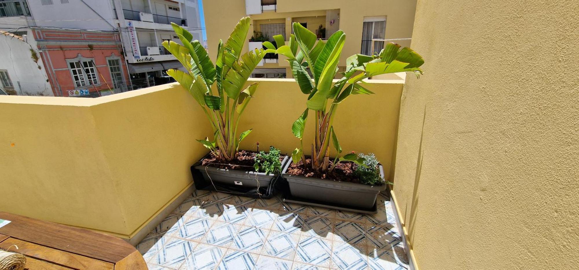 Casa Da Acoteia Apartment ฟารู ภายนอก รูปภาพ