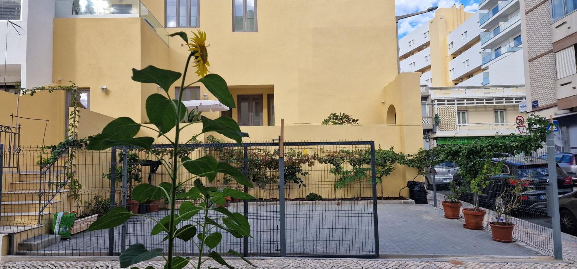 Casa Da Acoteia Apartment ฟารู ภายนอก รูปภาพ